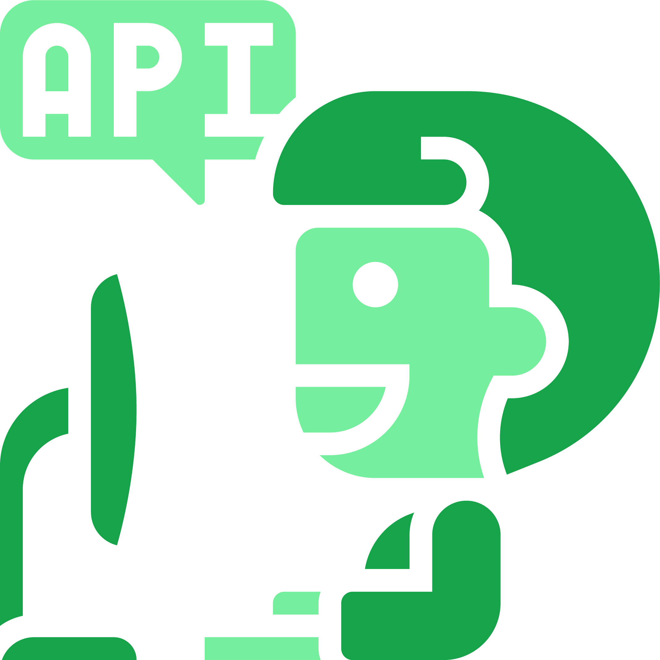 API Developer